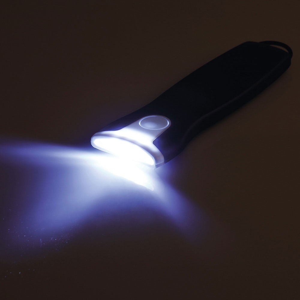 CASTOR. Flashlight