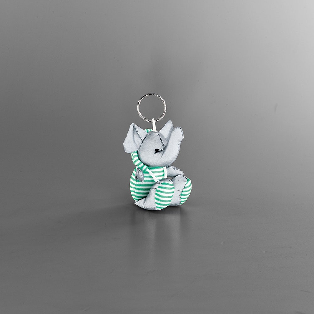 DUENA. Keyring