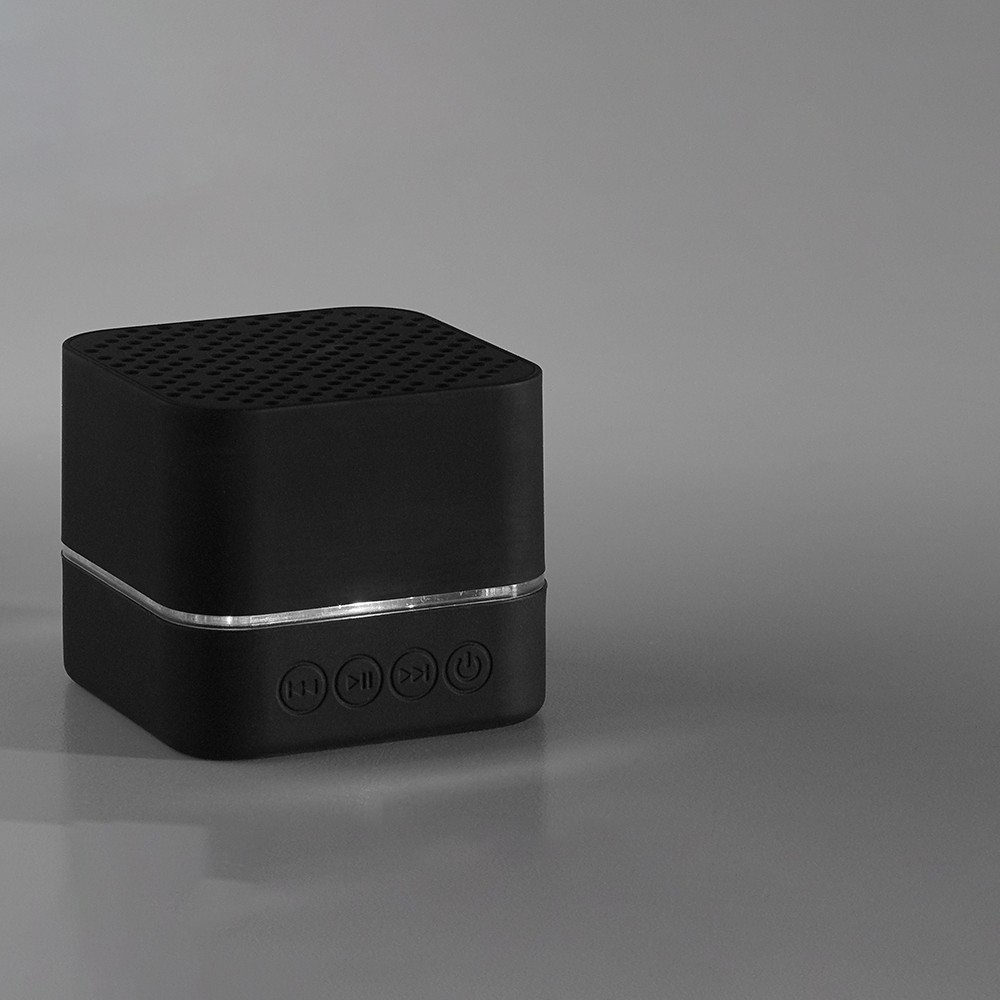 EDISON. Speaker