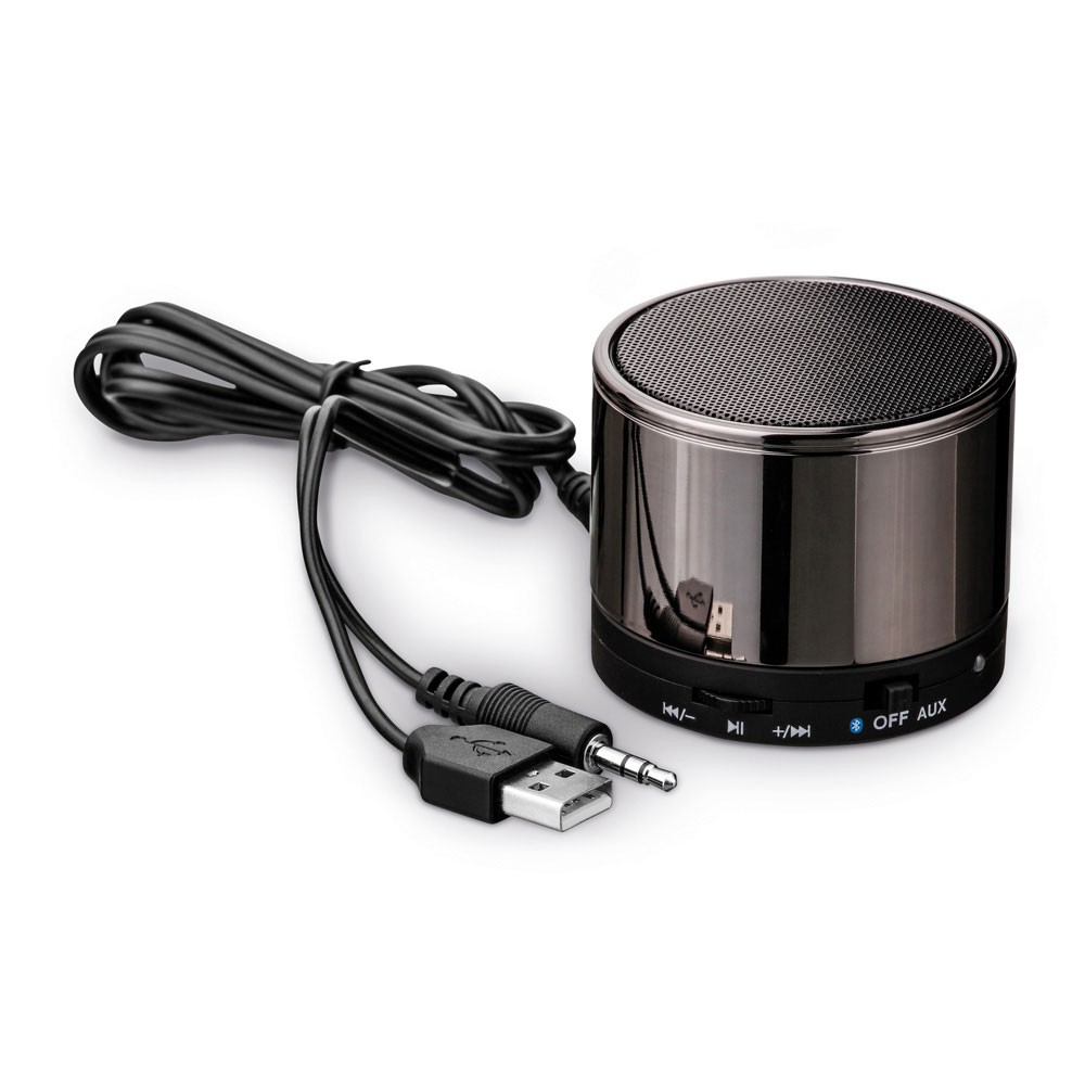 SYNTH. Speaker