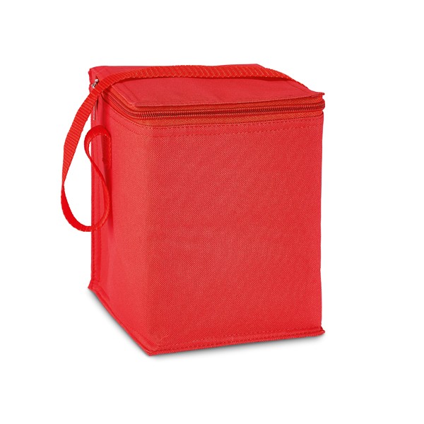 Cooler bag