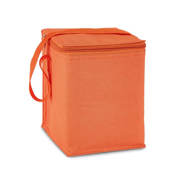 Cooler bag