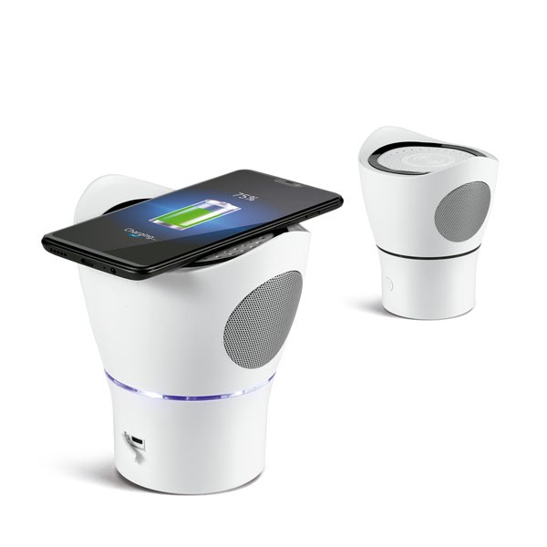 Speaker