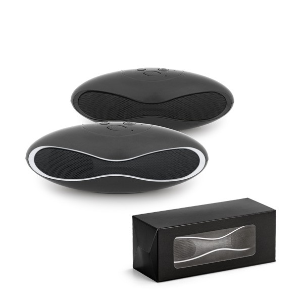 EUCLID. Speaker with microphone