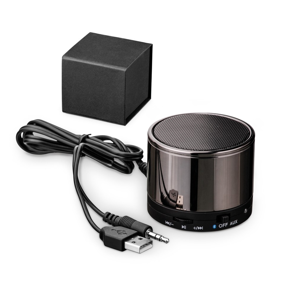 SYNTH. Speaker