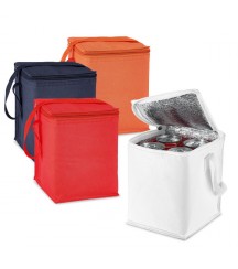 Cooler bag