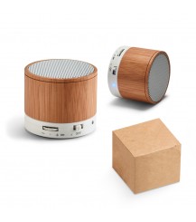 GLASHOW. Speaker