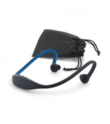 Sports headphones